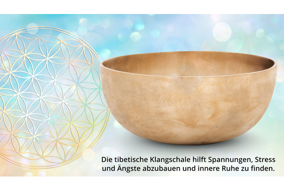 XDrum Therapeutic Klangschale Ton E / 1000 g  - Retoure (Zustand: sehr gut) image 7