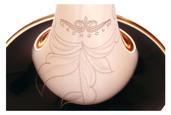 Lechgold TR-14G Tromba Bb verniciata Deluxe Set image 7