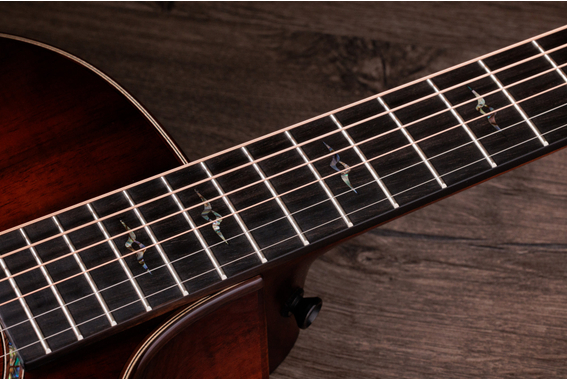 Taylor Special Edition K24ce image 7