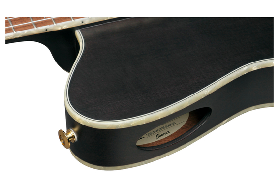 Ibanez TOD10N-TKF Gitarre Transparent Black Flat  - Retoure (Zustand: sehr gut) image 7