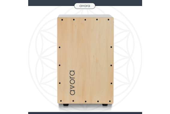 Avora Cajon Basswood image 7