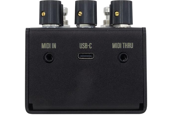 Walrus Audio Mako Series MKII R1 image 7