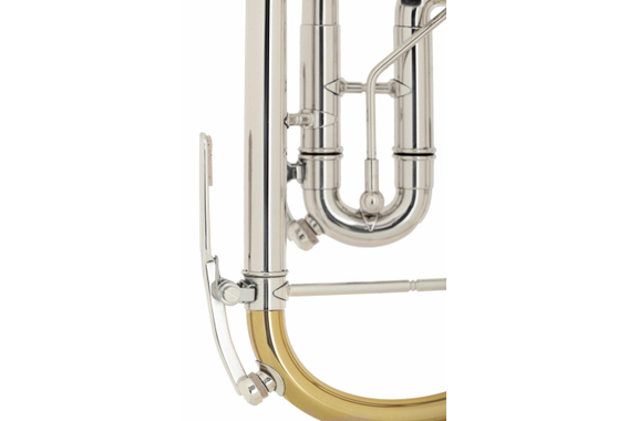 B&S 3005 WTR-L Trompette Sib image 7