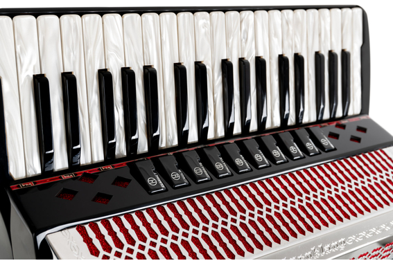 Alpenklang Pro Fisarmonica IV 96 CM Nera image 7