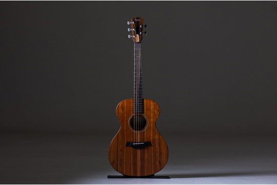 Taylor Jacob Collier Signature JCSM-5  image 7