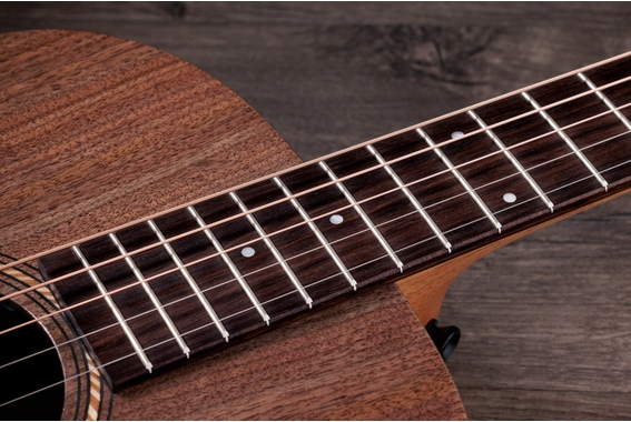 Jacob Collier Academy 22e 5-String image 7