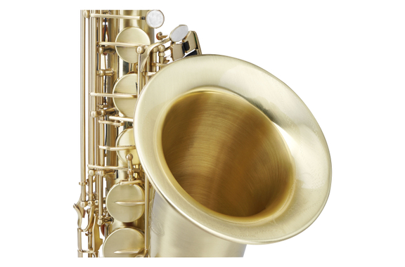Classic Cantabile TS-450 Brushed Saxophone Ténor Sib ESM Set image 7