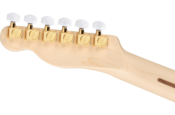 Fender James Burton Telecaster Blue Paisley Flames image 7
