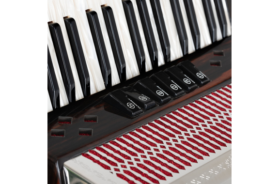 Alpenklang Pro Accordeon III 96 Toetsen-Steierse Ebenhout image 7
