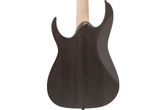 Ibanez RGR431PB-CGF Charcoal Gray Flat image 7