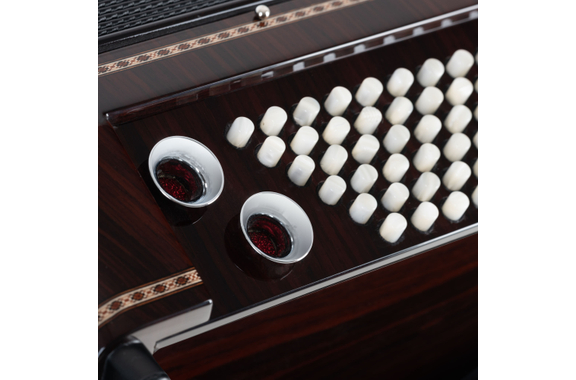Alpenklang Pro Akkordeon IV 96 MH Palissandre image 7
