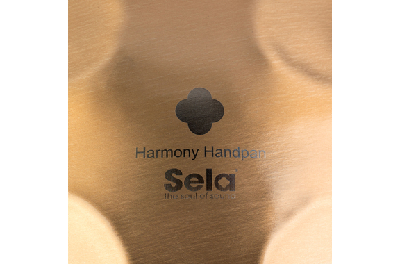Sela SEHP202 Harmony Handpan D Amara 11+1 Set di Supporto image 7