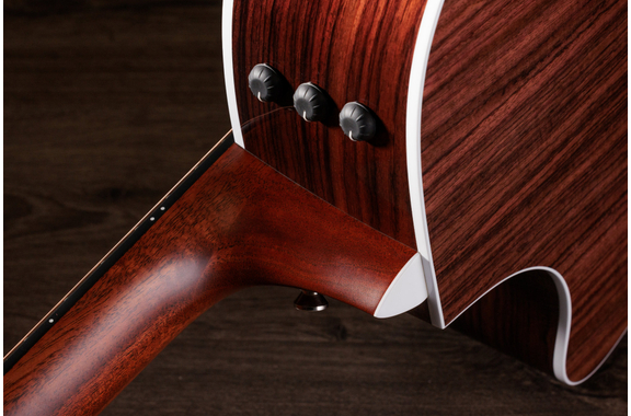 Taylor 454ce 12-string image 7