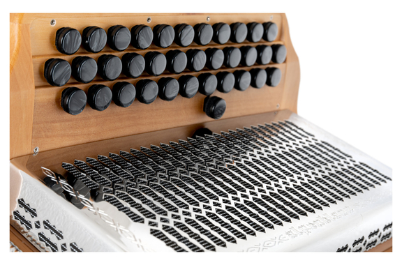 Alpenklang Pro Learn 23 Harmonika G-C-F image 7