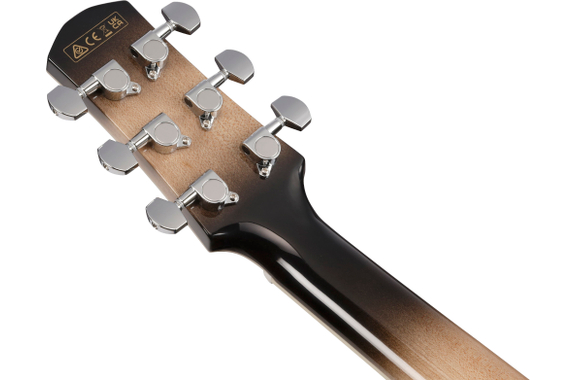 Ibanez AAM370M1CETPA Transparent Panda image 7