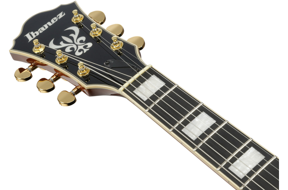 Ibanez AG95MG-DA Artcore Expressionist AG image 7