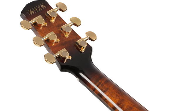 Ibanez AAD361CE-TKR Advanced Acoustic Transparent Black High Gloss image 7