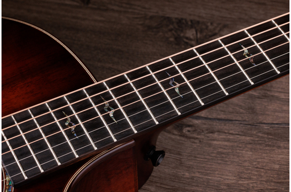 Taylor Special Edition K24ce image 7