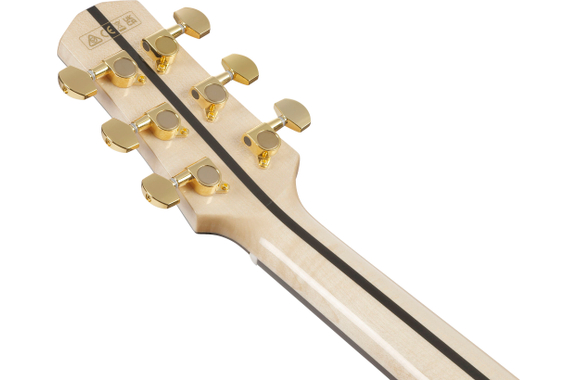 Ibanez AAD371E-ATW Advanced Acoustic Antique White High Gloss image 7