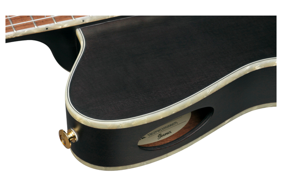 Ibanez TOD10N-TKF Gitaar Transparent Black Flat image 7