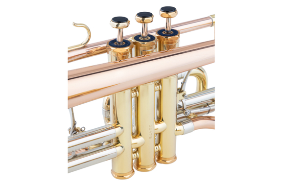 Lechgold CR-18L Bb-Cornetta verniciata Set Deluxe image 7
