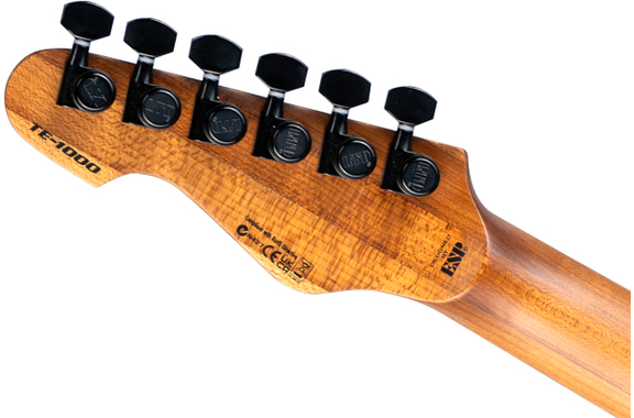 ESP LTD TE-1000 Silver Blast image 7