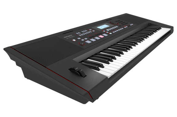 Roland E-X50 Arranger Keyboard image 7