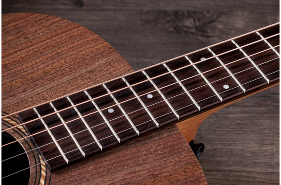 Jacob Collier Academy 22e 5-String image 7