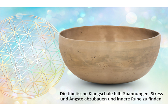 XDrum Bol Chant Thérapeutique Ton C / 1400 g image 7