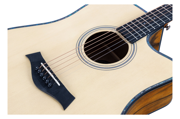 Rocktile WSD-100C NT Guitare Western Set avec Housse image 7
