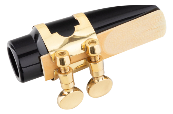 Lechgold LSS-20Lc Sassofono Soprano verniciato image 7