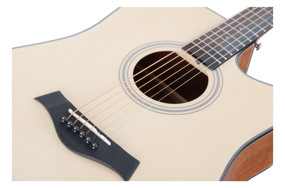 Rocktile WSD-101C NT Western Gitaar Gigbag Set image 7