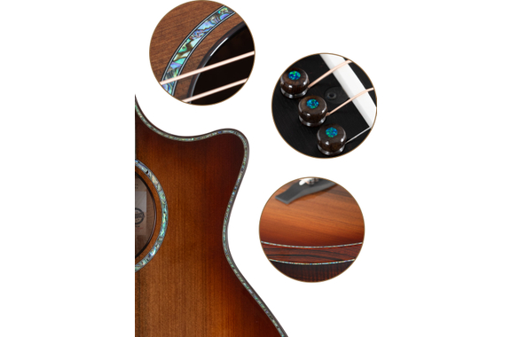 Taylor C14ce Custom #29 GA Master  image 7