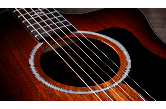 Taylor 224ce-K DLX Shaded Edgeburst image 7