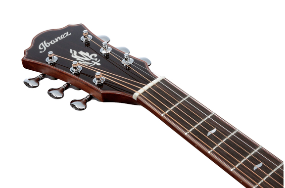 Ibanez MRC10-NT Marcin Patrzalek image 7