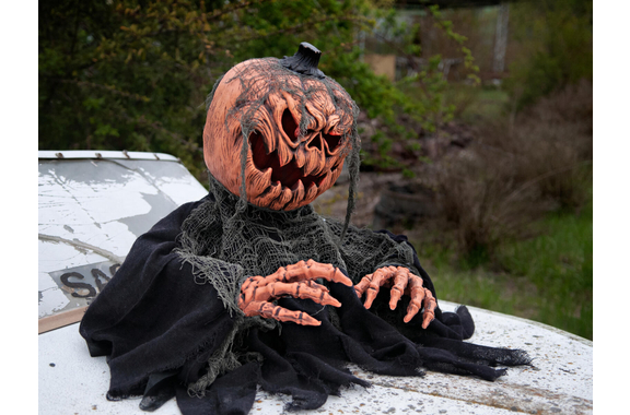 Set Europalms Halloween Mostro Zucca con Interruttore a Pedale image 7