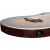 Ortega TourPlayer Deluxe Acacia Burst thumbnail 8