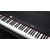 NUX NCK-330 Digitalpiano Schwarz  - 1A Showroom Modell (Zustand: wie neu, in OVP) thumbnail 8