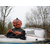 Europalms Halloween bewegte Kürbis-Monster Figur thumbnail 8