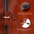 Classic Cantabile CP-200 4/4 Antique Celloset thumbnail 8