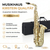 Classic Cantabile Winds AS-450 Brushed Eb Alto Saxophone thumbnail 8
