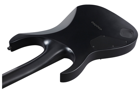 Ibanez RGRTB621-BKF Iron Label image 8