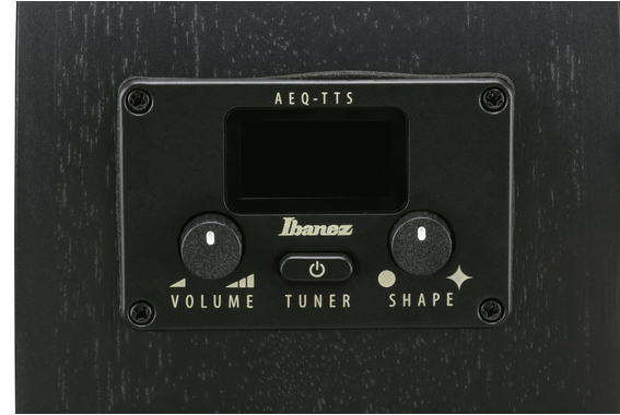 Ibanez AEG621-BOT Guitare Folk Black Out image 8