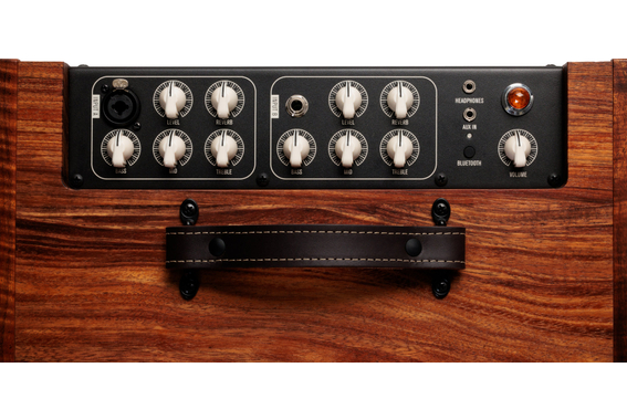 Taylor Circa74 AV150-10 150W 10" Combo Acoustique Koa image 8