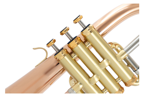Lechgold FH-60GB Flügelhorn gebürstet Deluxe Set image 8