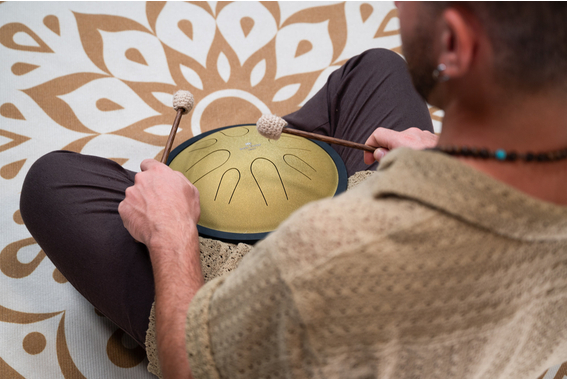 Meinl Sonic Energy 10" Compact Steel Tongue Drum  - Retoure (Zustand: sehr gut) image 8