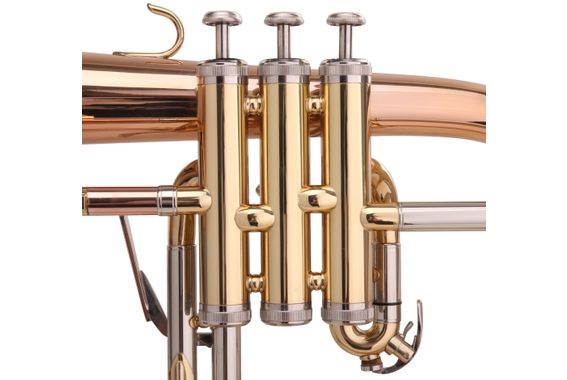 Lechgold FH-60G Flugelhorn Lacquered Deluxe Set image 8