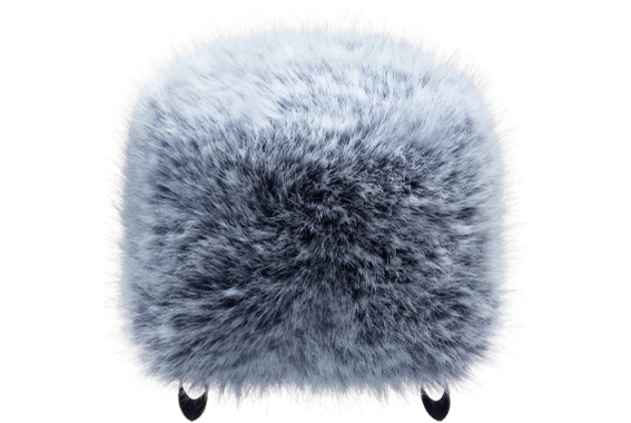 Set Paravento Tascam Portacapture X6 image 8