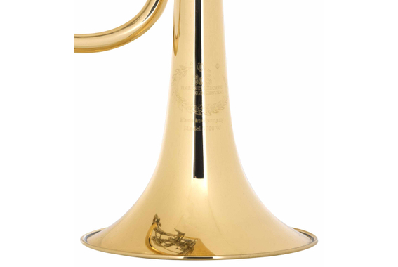 B&S 3005 WTR-L Trompette Sib image 8