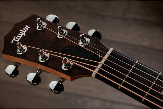 Taylor Zedd GS Mini Telos Special Edition image 8